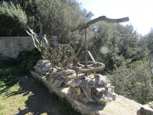 IMG_4430 (Medium)